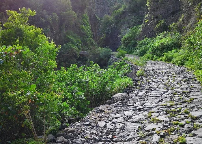 Apartmán Casa Elsa With Free Parking *